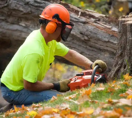 tree services Hackettstown